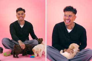 A person sits on the floor with puppies, smiling and laughing. They wear a black shirt and gray pants, creating a warm and playful scene